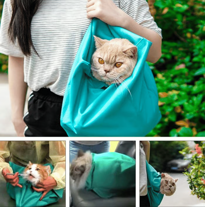 ✨Cat Carry Pouch