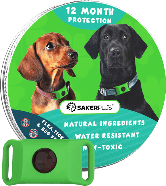 12 Months Flea and Tick Free