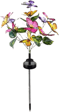 🔥2026 New Arrivals: 58% Off for a Limited Time!🔥🦋Hot Sale Offers-Solar Outdoor Butterfly Lights💐