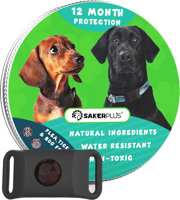 12 Months Flea and Tick Free