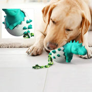 Dinosaur Eggs Dog Chew Toys