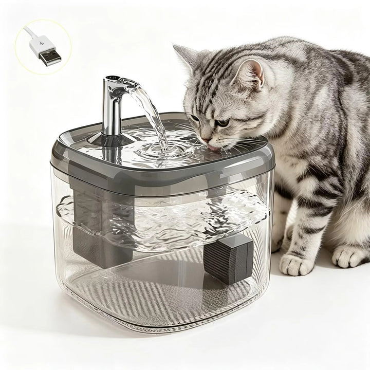 1.5L USB Cat Water Fountain, Automatic Pet Drinking Dispenser with Filter, Transparent Gray Circulating Fresh Water Bowl for Cats & Small Dogs