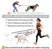 🔥Hands Free Dog Leash with Zipper Pouch