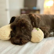 🐶🐱The Calming Pillow💐