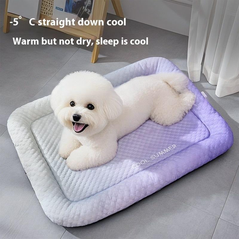 Play & Comfort Collection