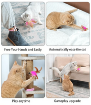 🔥Free hands collar cat teaser stick😻