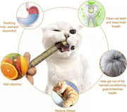Natural Silvervine Stick Cat Chew Toy