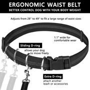 🔥Hands Free Dog Leash with Zipper Pouch