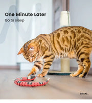 🔥BIG SALE 48% OFF🔥🔥Smart Sensing Snake Toy