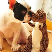 Hot Sale 48% Off 🌹Indestructible Robust Dino--For Aggressive Chewers