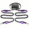 🔥Hands Free Dog Leash with Zipper Pouch
