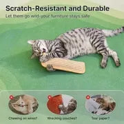 Potaroma Interactive Catnip Chew Toy with [6000mg A+ Organic Catnip], Soft Sisal Material Scratching and Kicker Cat Toys for Indoor Kittens, Drives Bored Cats Crazy with Fun