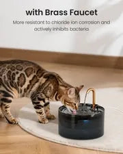MISFANS Silent Cat Water Fountain 2.1L Pet Water Fountain Ultra-Quiet Copper Spout Night Light 6-Layer Filter Soft Blue LED Automatic Gravity Feeder|Wired plug-in model