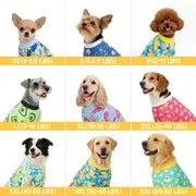 4-Piece Soft Dog & Cat Clothing, Breathable Sleepwear with Playful Avocado, Monkey, Dinosaur Animal Print, Universal-Fit Comfortable Pet Apparel Summervibes Petlovers Costume