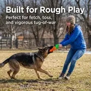 Apasiri Aggressive Chewer Dog Toys, Durable Carrot Leaf Design for Teeth Cleaning & Mental Stimulation